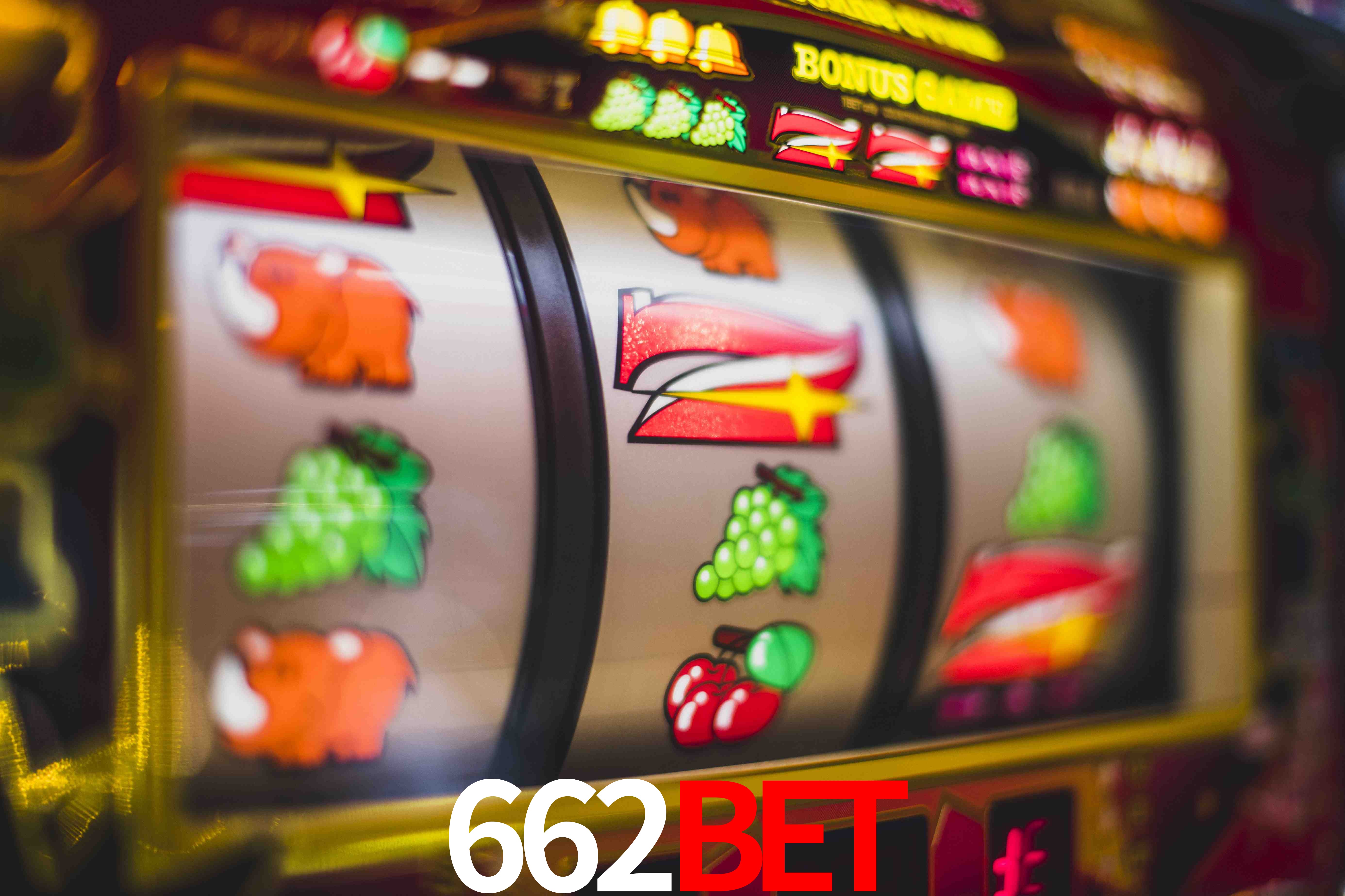 Statistics 662bet